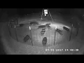 Wild Hog Trapping Welcome To JAGER PRO TV - 15 Second Promo JAGER PRO