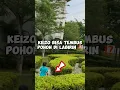 Download Lagu BOCIL LOMBA LARI DI LABIRIN‼️KEIZO NEMBUS POHON ⁉️😱