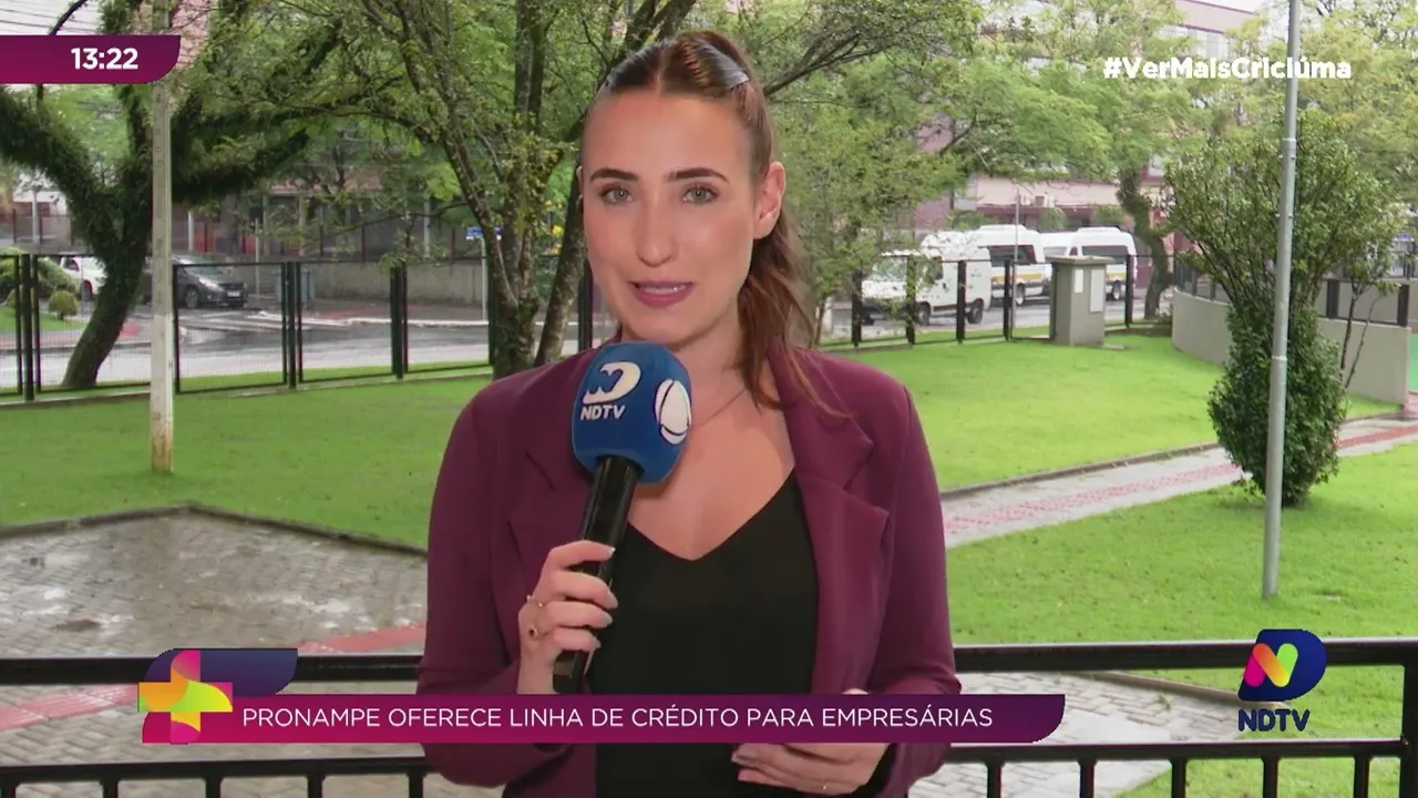 Pronampe mulher: apoio financeiro para mulheres empreendedoras em Santa Catarina