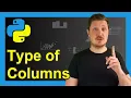 Check Data Type of Columns in pandas DataFrame in Python 2 Examples Get dtype of All Variables