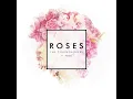 Download Lagu Roses - The Chainsmokers ft. ROZES (clean)