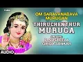 Lagu Thiruchenthur Muruga Song | Om Saravanabava Murugan | P Susheela, Girija Sankar | Tamil Padalgal