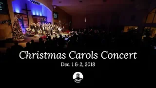 the first noel