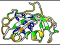 Direct Protein Annotation