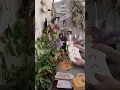 Download Lagu ALERTA ⚠️ ESTAS  PREPARADA/O PARA LA VERDAD ? PARA SABER Y DECIDIR?