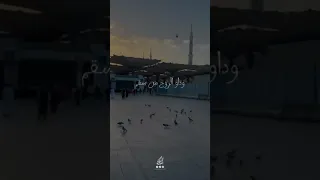 طريق رضاك متجهي ونور هداك معتصمي 