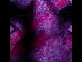 Download Lagu Rott in Piece \u0026 Don Distorted  Industrial Pollution ‐ Gemaakt met Clipchamp