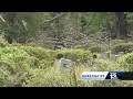 WVTM Investigates Selma Cemetery
