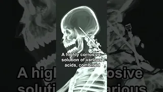                    دندنها