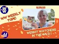 Weight Watchers Weekly In Person Meeting Technique Weight Watchers in the Wild