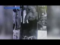 Bismarck PD looking for burglary suspects who allegedly stole handguns