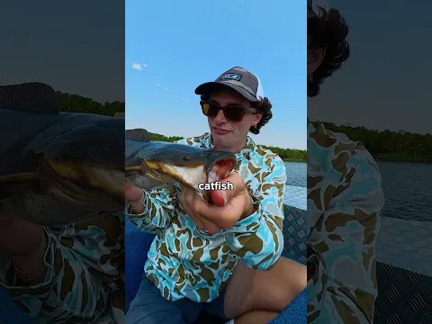 I Caught a Bird then Hooked a Fish ππ£