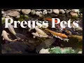 Discover Lansing s Hidden Gem Exotic Pets Galore at Preuss Pets Unique Store