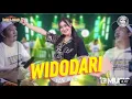 Widodari yeni inka ft new palapa (artis Aneka safari record) #yeniinka
