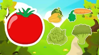 Learn Vegetables In Arabic For Kids تعليم أسماء الخضروات للاطفال باللغة العربية 