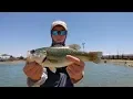 Ascarate Lake Bass Fishing