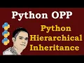 Python Tutorial - Python Hierarchical Inheritance