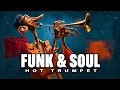 Pure Soul Funk Connection 3-Hour Immersive Music Mix