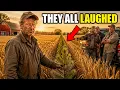He Planted Pines Across 80 Acres of Wheat 6 Years They Laughed Then the Blizzard Came