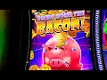I BROUGHT HOME SOME BACON