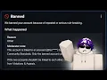 How I got 109 Roblox enforcement-banned accounts back