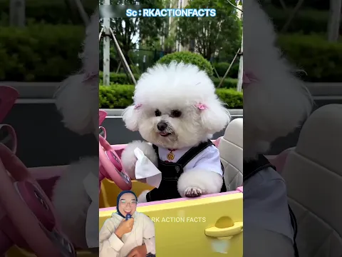 Ketika si cantik berbulu marah besar gara-gara lipstik😱😍⁉️
