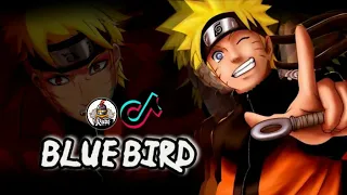 Download Dj TikTok Terbaru 2020 | Dj Blue Bird Remix 2020 Terbaru Full Bass - VERSI GAGAK MP3