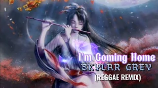 skylar grey im coming home reggae remix tiktok viral no copyright music 