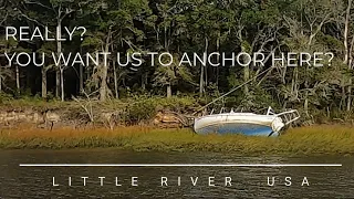 Let’s go! [Ep110] Sailing Salacia Star