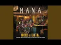 Download Lagu Ojalá Pudiera Borrarte