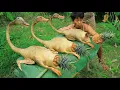 Download Lagu life in jungle - Easy way to cookin duck