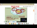 MITOSIS PHASES THE CELL CYCLE metaphase anaphase and Telophase kinetochores and centrosomes