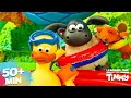 SPLASHY SWIMMING FUN PRESCHOOL CARTOON Timmy Time