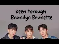 Been through English version by Brandyn Brunette lyrics video