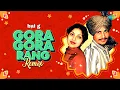 Lagu Gora Gora Rang - Punjabi Remix song | Amar Singh Chamkila | Amarjot | Bai G | Evergreen Punjabi Song
