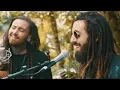 Iya Terra - Give Thanks (Live Acoustic) | Sugarshack Sessions