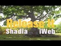 iWeb x Shadia - Release It Visualizer Crop Over 2026