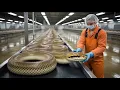Lagu Inside the Snake Leather Factory — How Raw Snake Skin Becomes Luxury Material (Full Process)