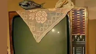 أرشيف التلفزة المغربية 