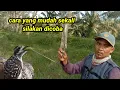 Lagu CARA MIKAT PELATUK BERAS. buat masteran burung gantangan.