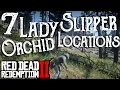Red Dead Redemption 2 - 7 Lady Slipper Orchid Locations Duchesses and Other Animals Exotics