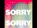 Sorry - Joel Corry
