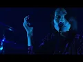シンガーズハイ｢ニタリ / ノールス」LIVE(2025.5.3@Zepp Osaka Bayside)