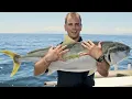 Fishing NZ How to live bait kingfish