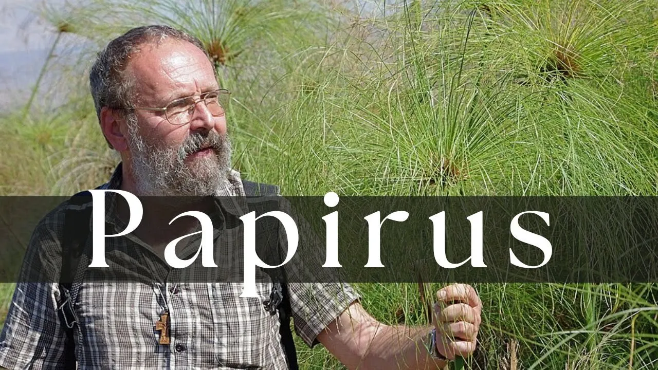 Papirus - Botaniczny dar Nilu   | Podcast Botaniczny nr 34