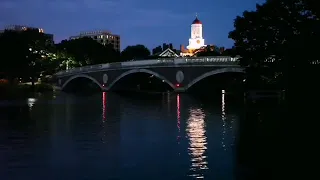 موسيقى مؤلمة عن واقعنا الحالي 