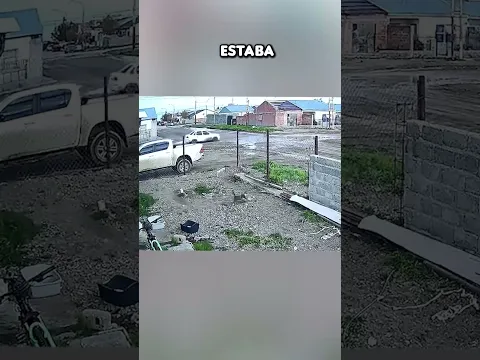 Este perro quedó atrapado afuera y su hermano gato