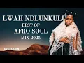 Download Lagu Lwah Ndlunkulu - Best of AfroSoul Mix 2025 | Dj Webaba