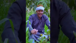 لو  سارق نت مكنتش شفتك يا بت تيك توك السواد   احمد جاميكا              دندنها