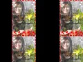 مصطفى كامل  اول مره (النسخة الاصلية)